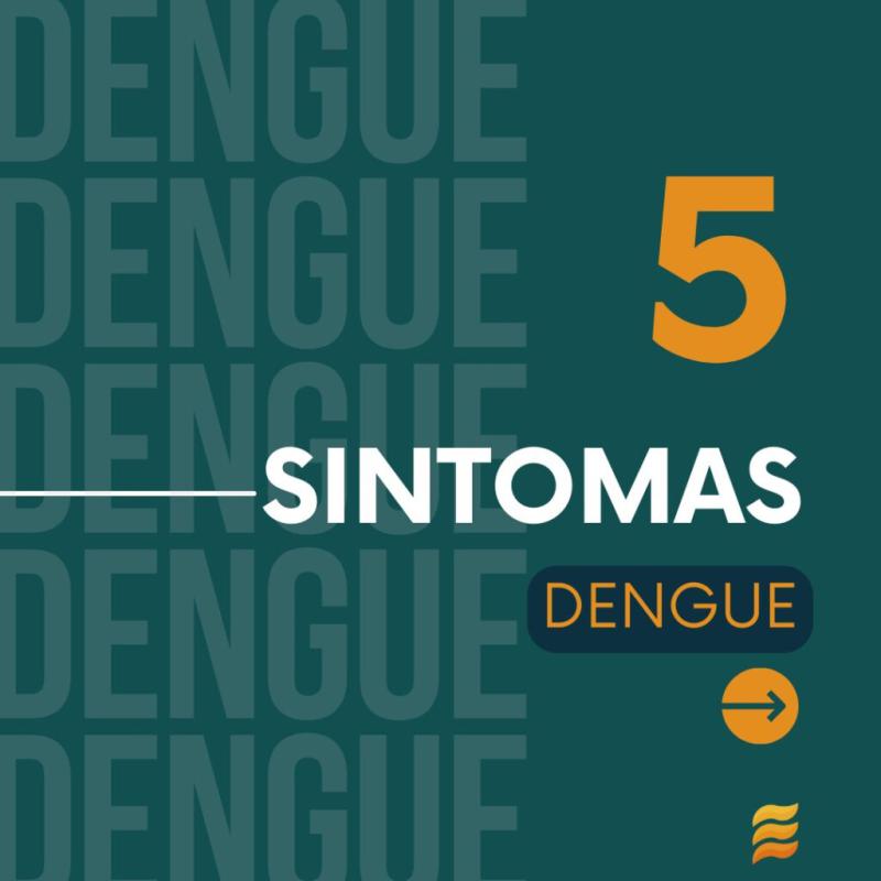 Conheça os Sintomas da Dengue!